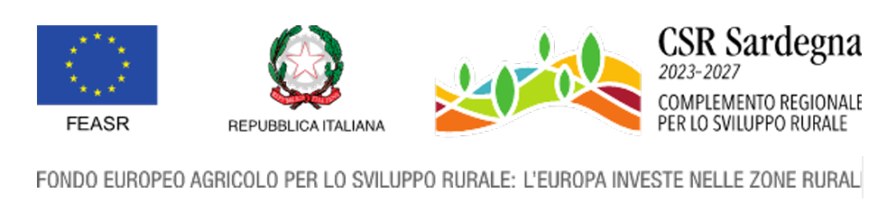 CSR Sardegna 2023/2027 – Intervento SRH01: Erogazione Servizi di Consulenza