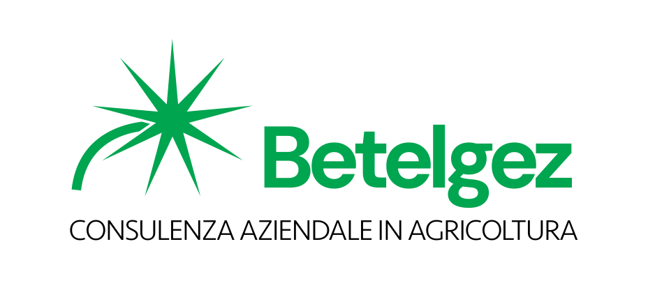 Betelgez Srl